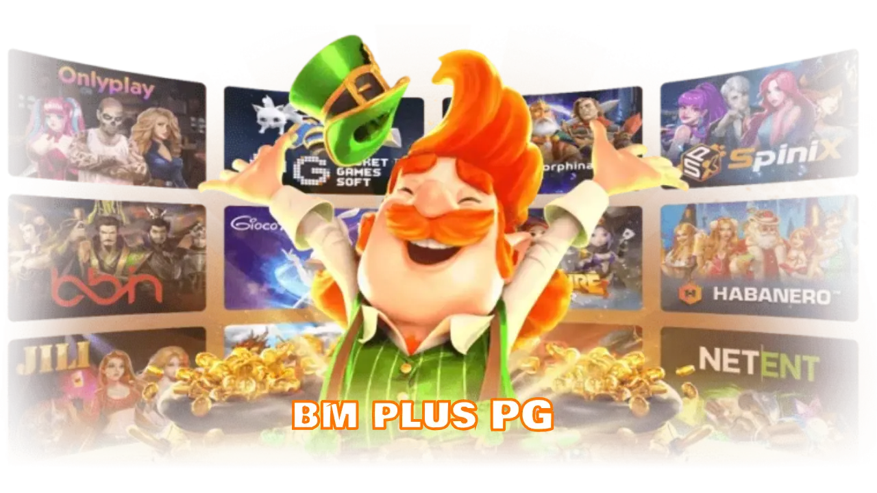 bm plus PG